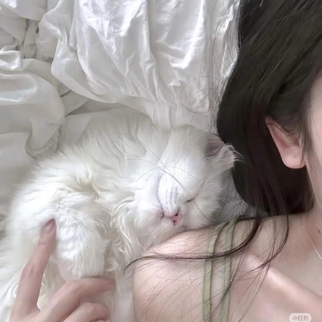 没头脑🧠