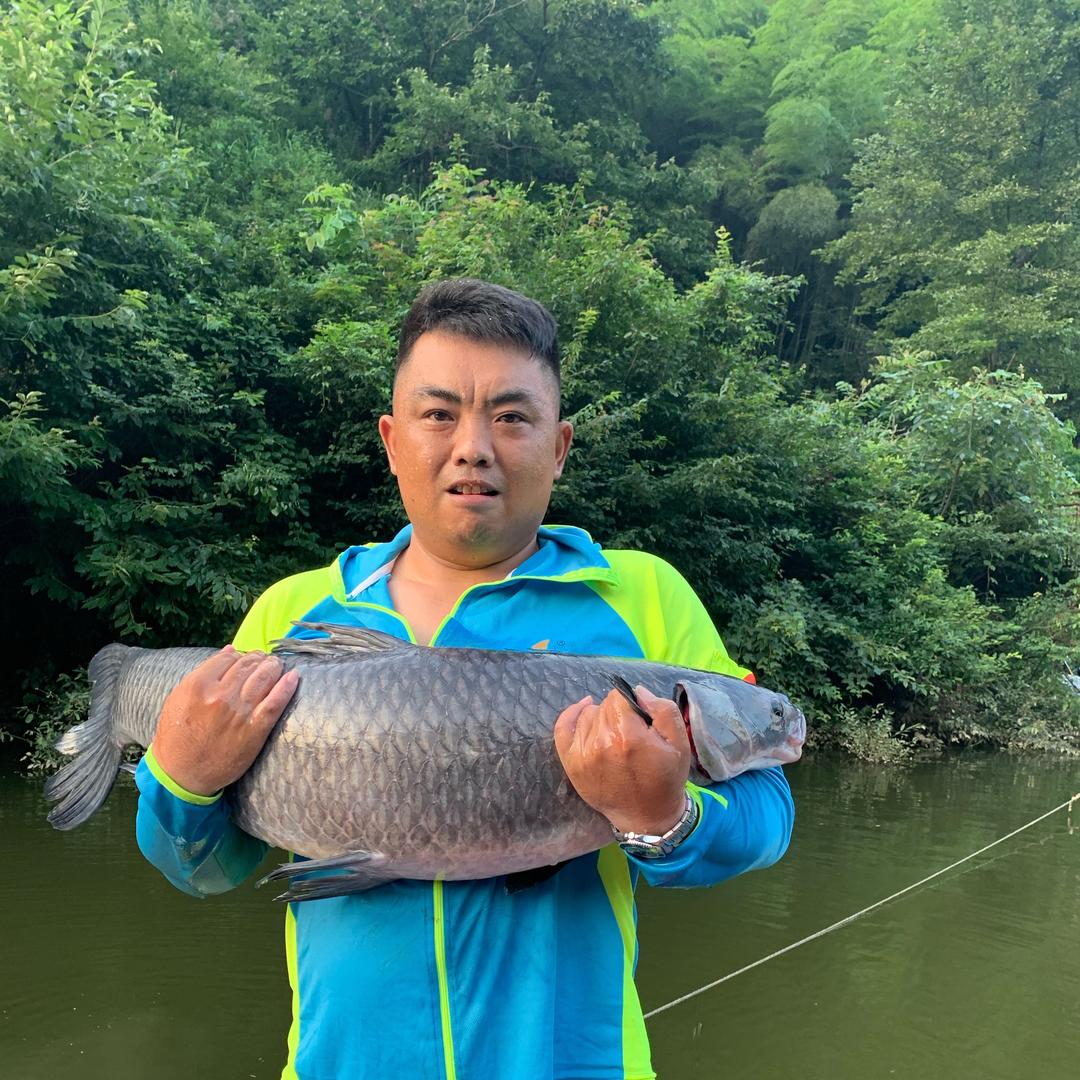 钓鱼直播峰哥
