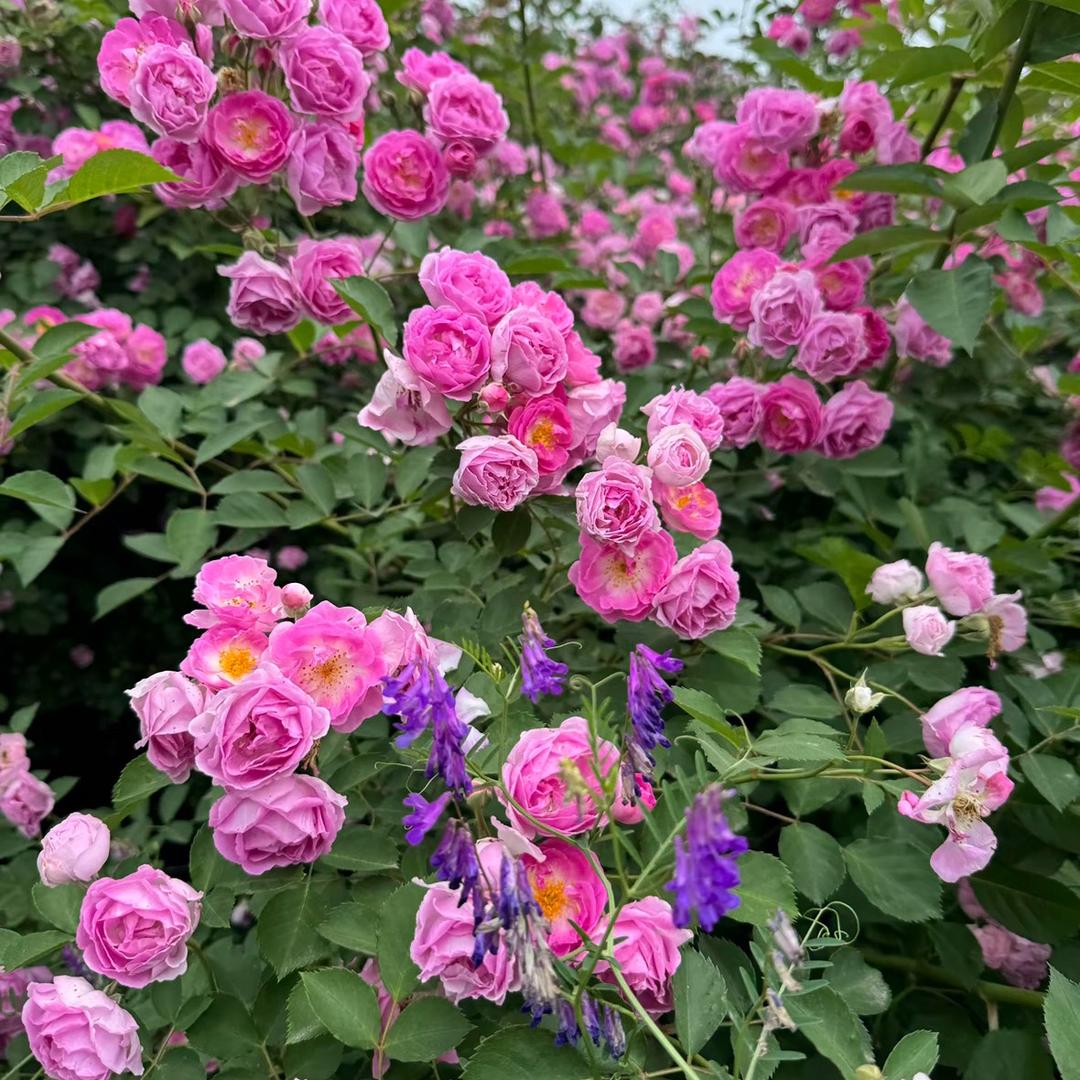 晴☀️天