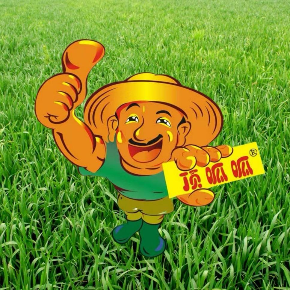 大蒜拌种顶呱呱