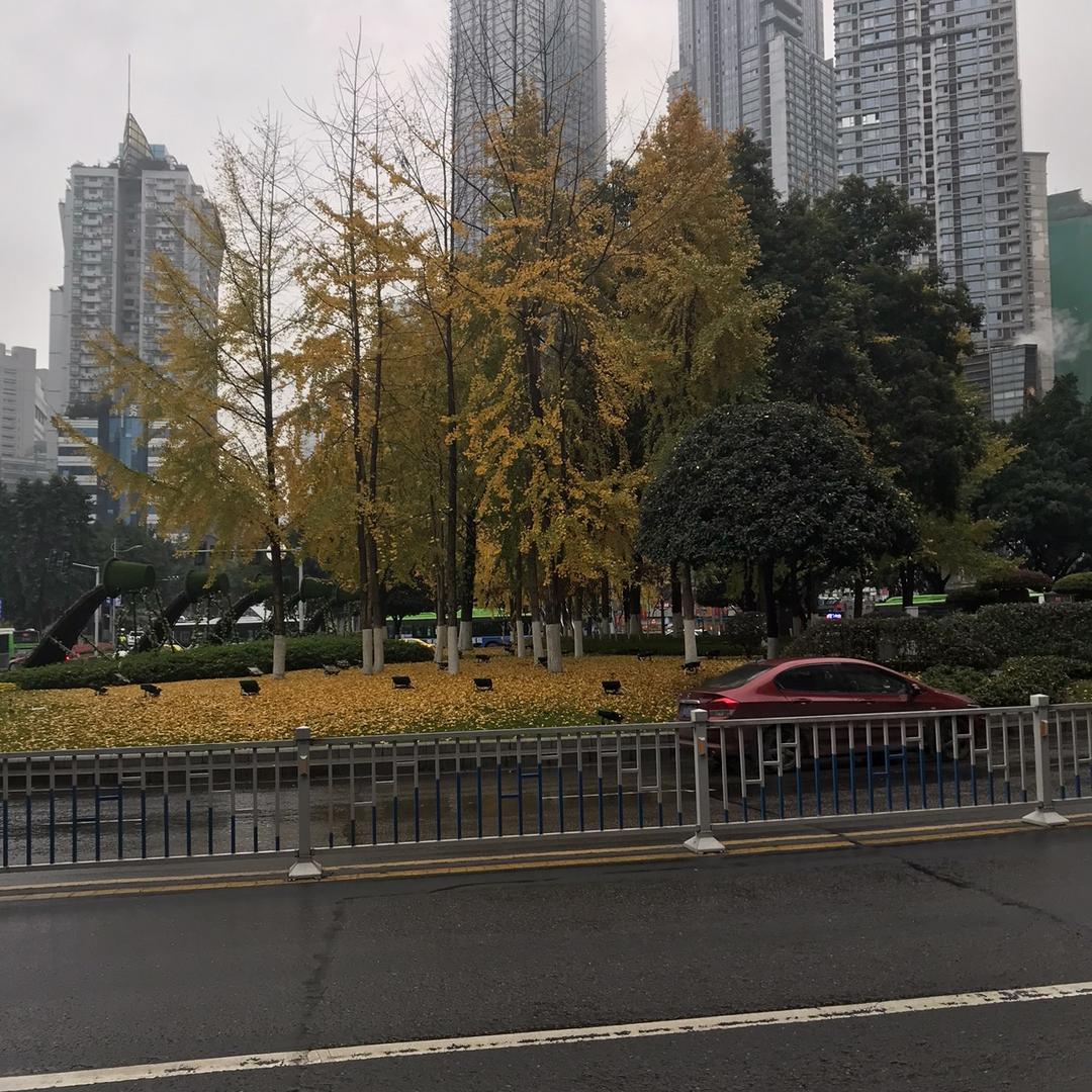 鑫亿旺优品