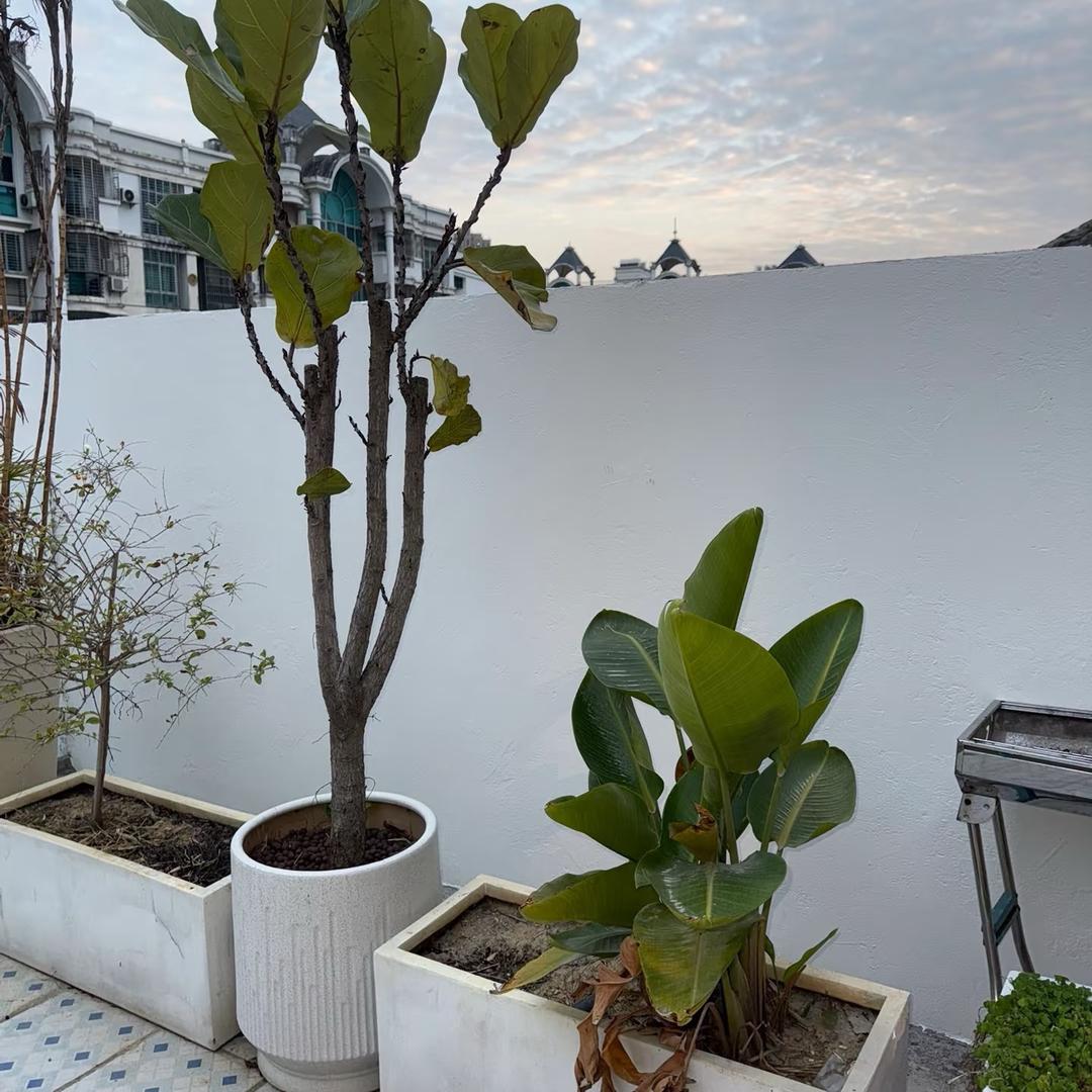 好货推荐
