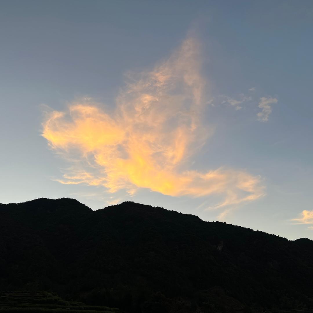 秋添 🧡 （互关）