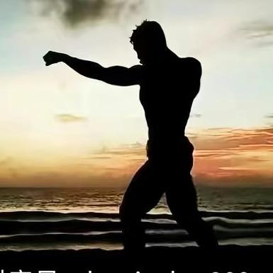 阿浪浪拳