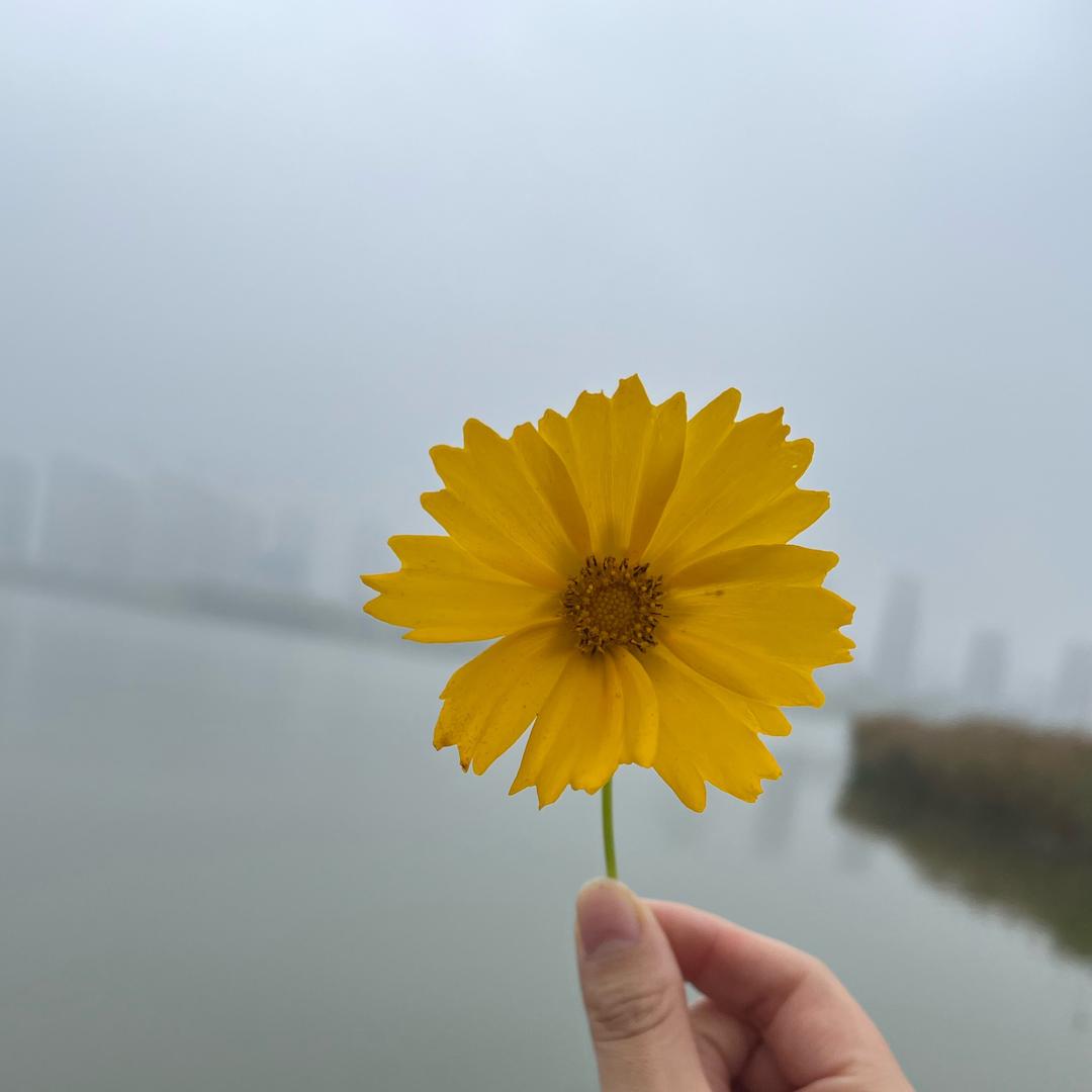偏安一隅