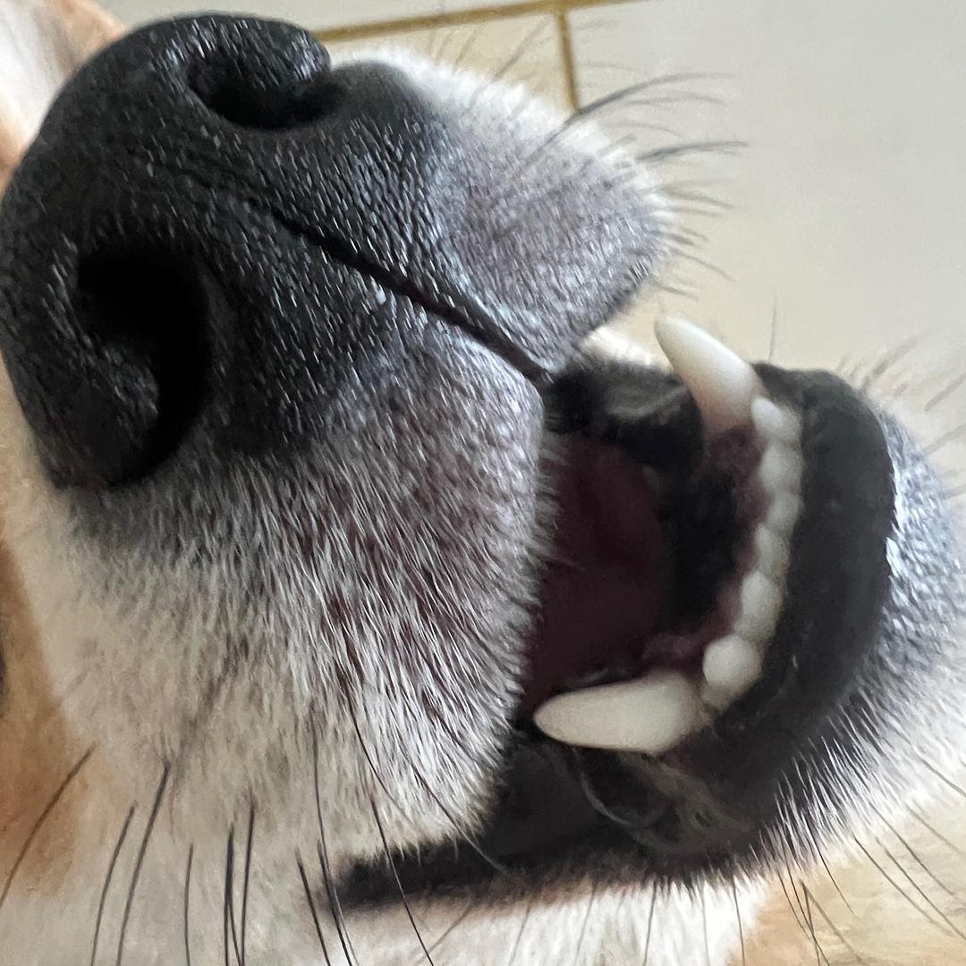 涵