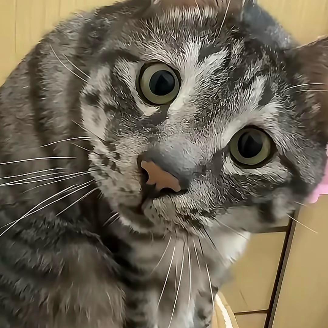 不好玩