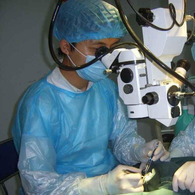 宠物眼科医生王立博士