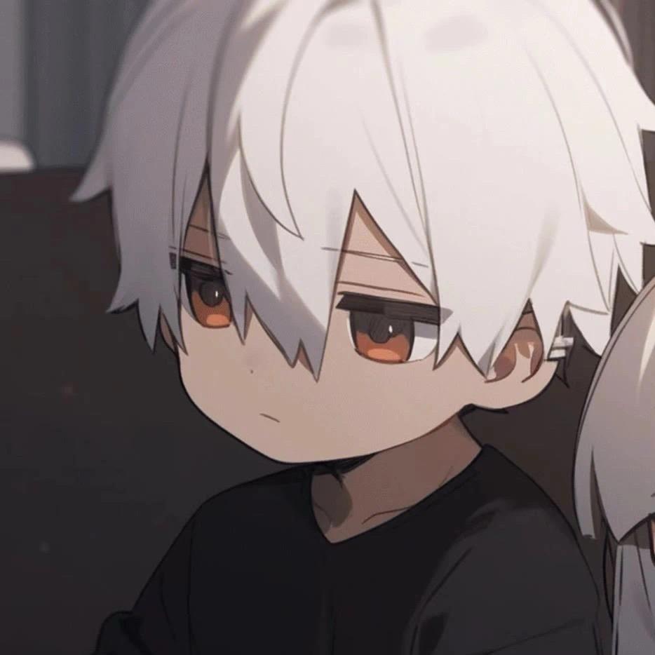 俸狸