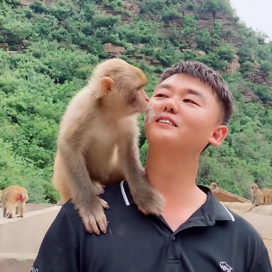 猴小匡