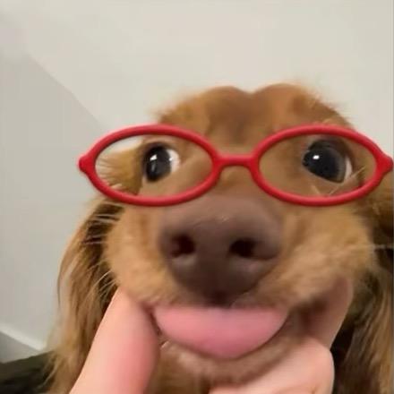 鼻涕泡泡🐾