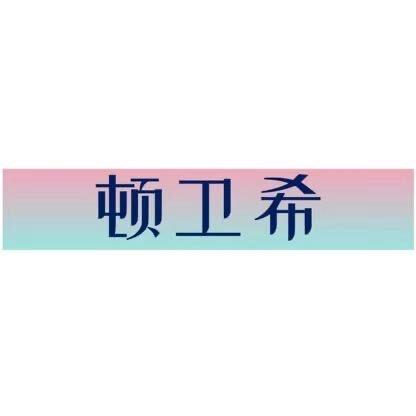 顿卫希数码旗舰店