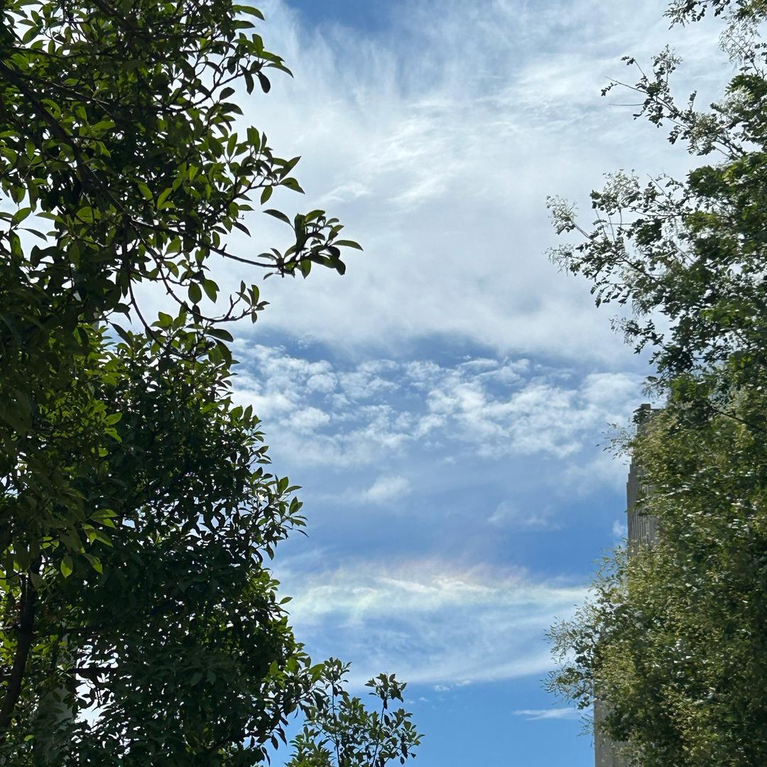 短相思兮无穷极