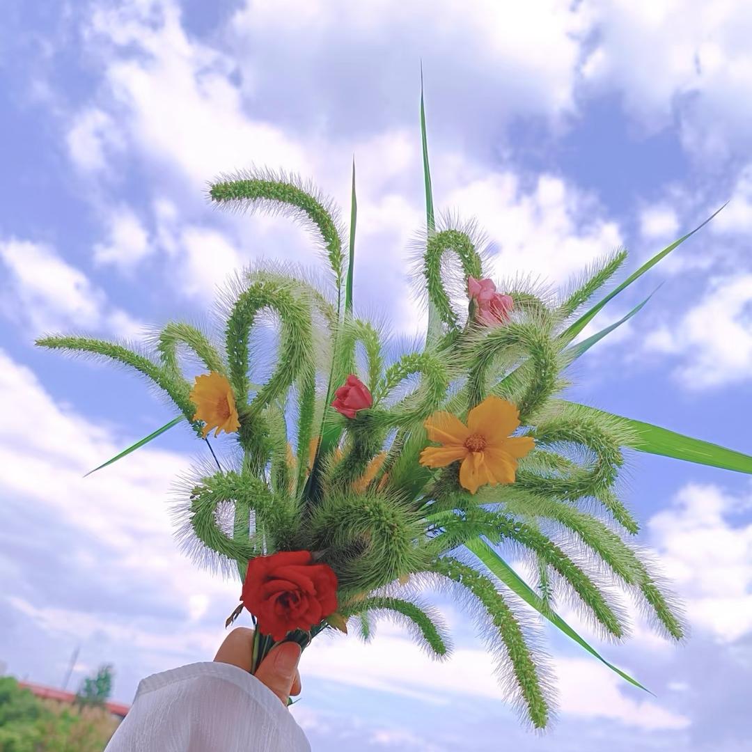 可夏生鲜