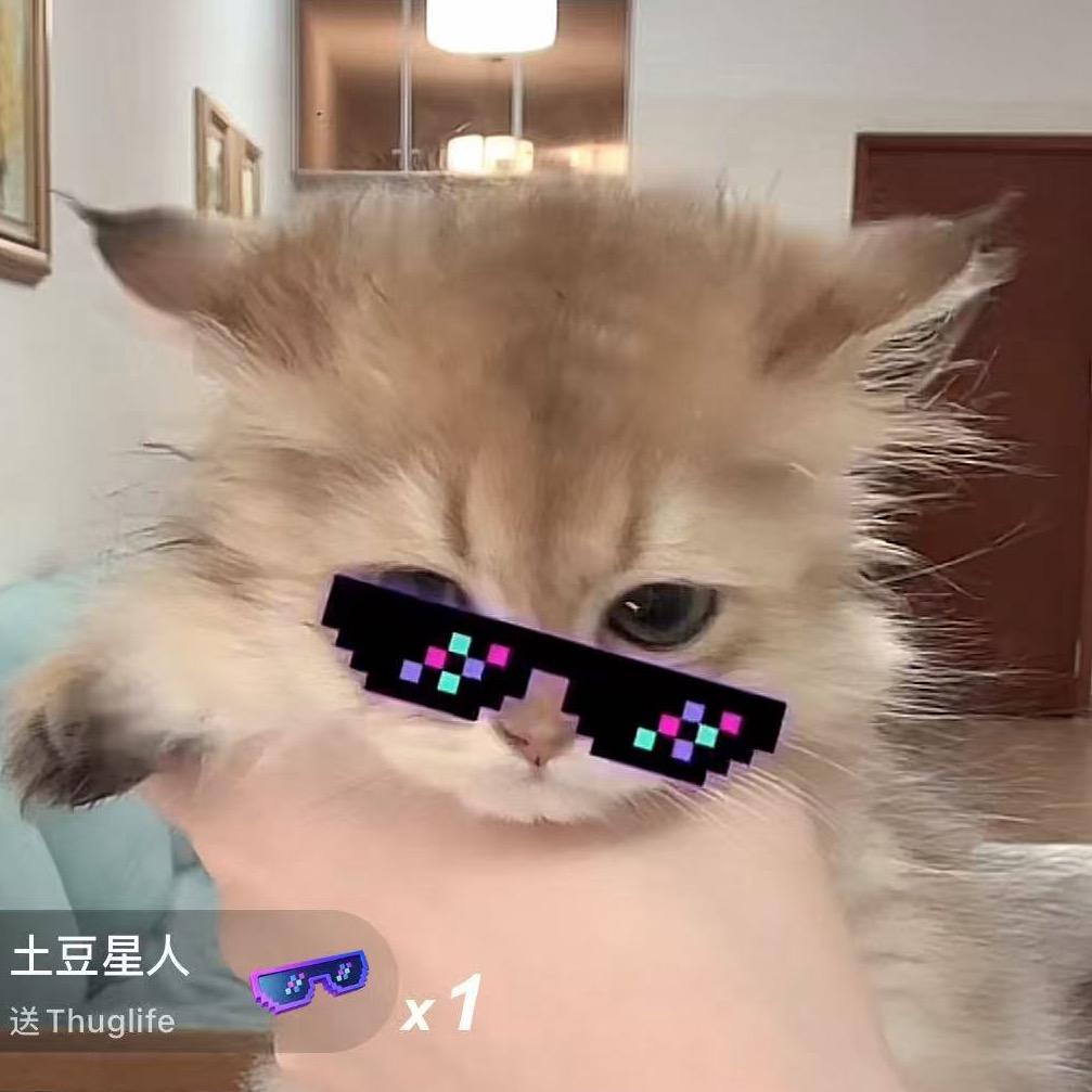 🐈jiojio