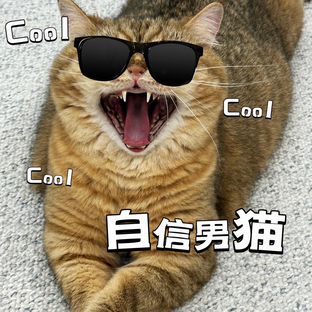 小老虎🐯