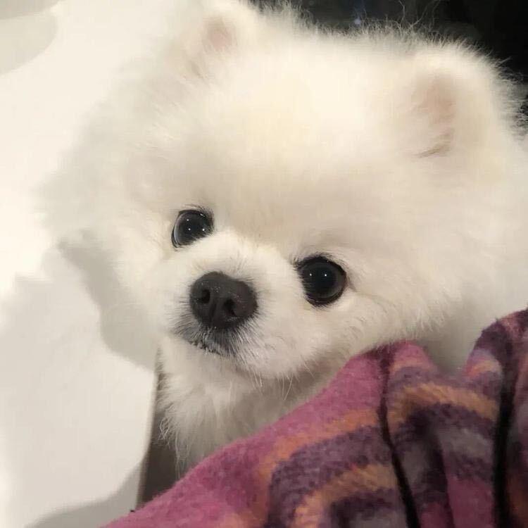 惯惯