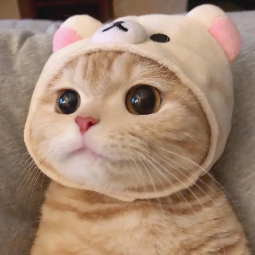 괜 찮 아 요