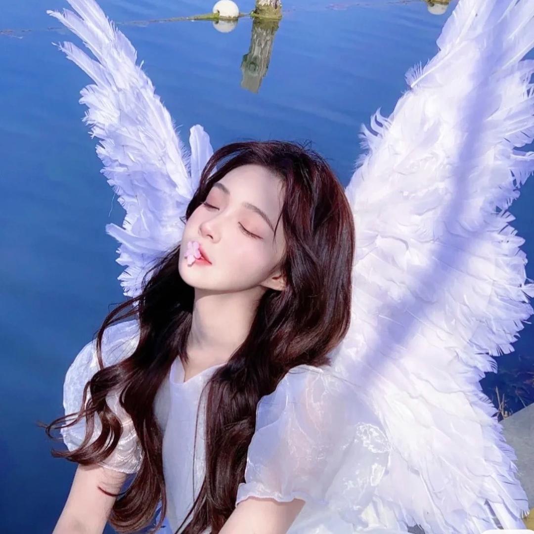 车圈小仙女🧚