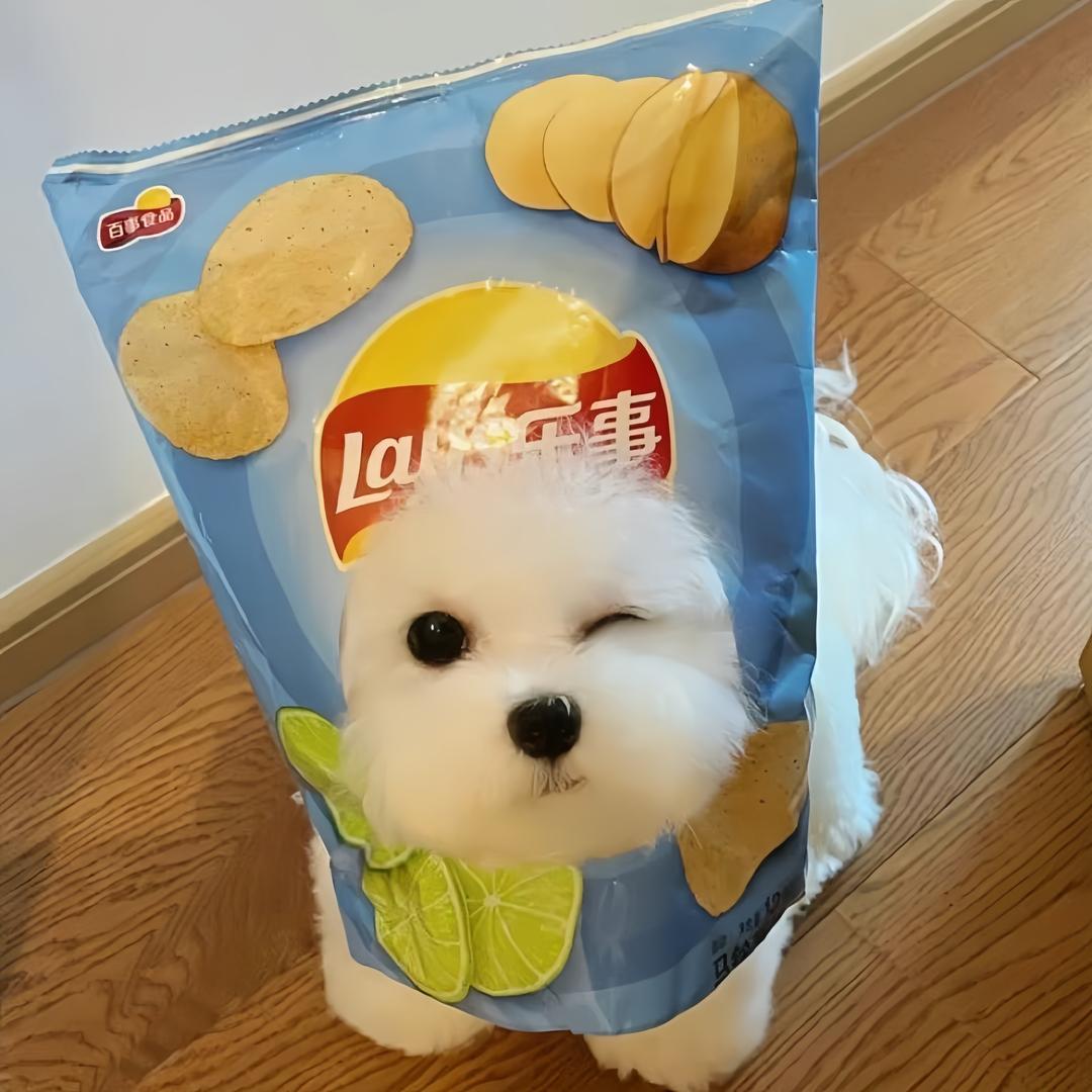 关于小顺