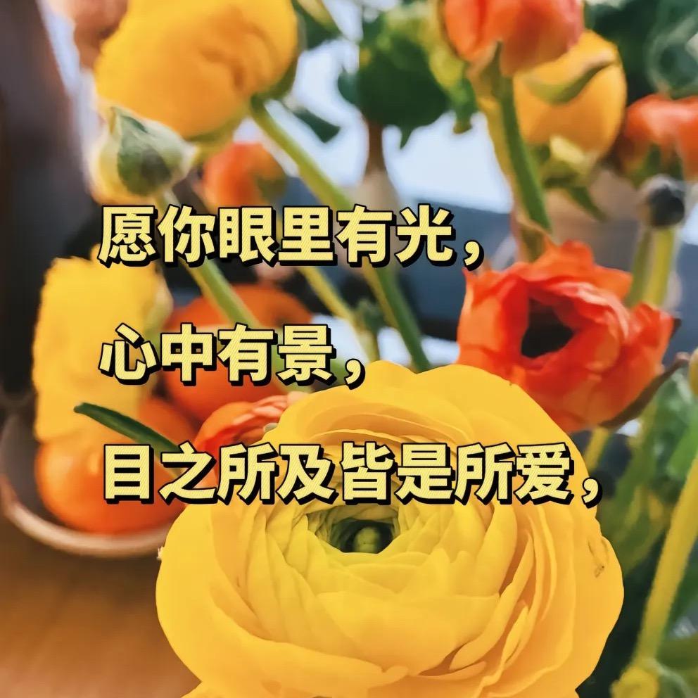 合理饮食666