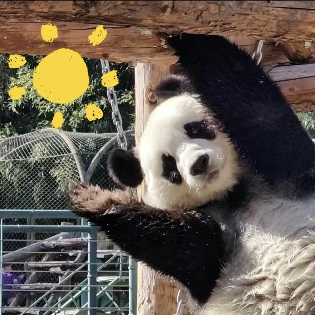 星辰大海