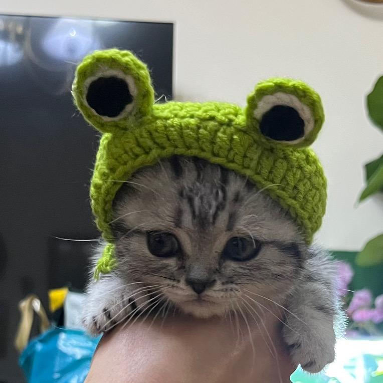 杰尼超黏人