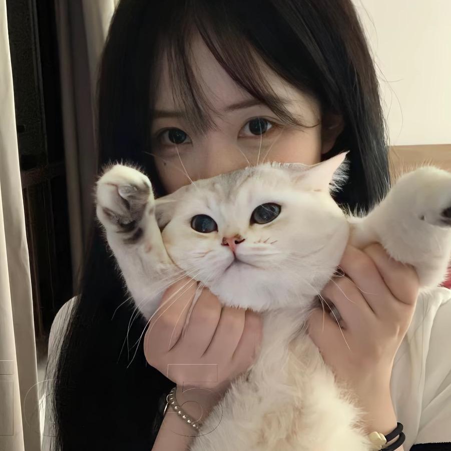 一只羊🐏