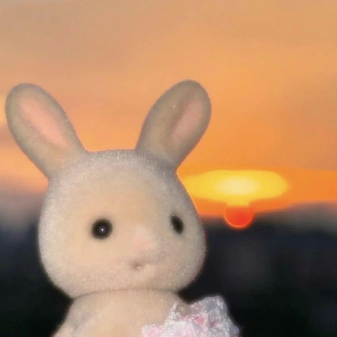幸运儿.🐰