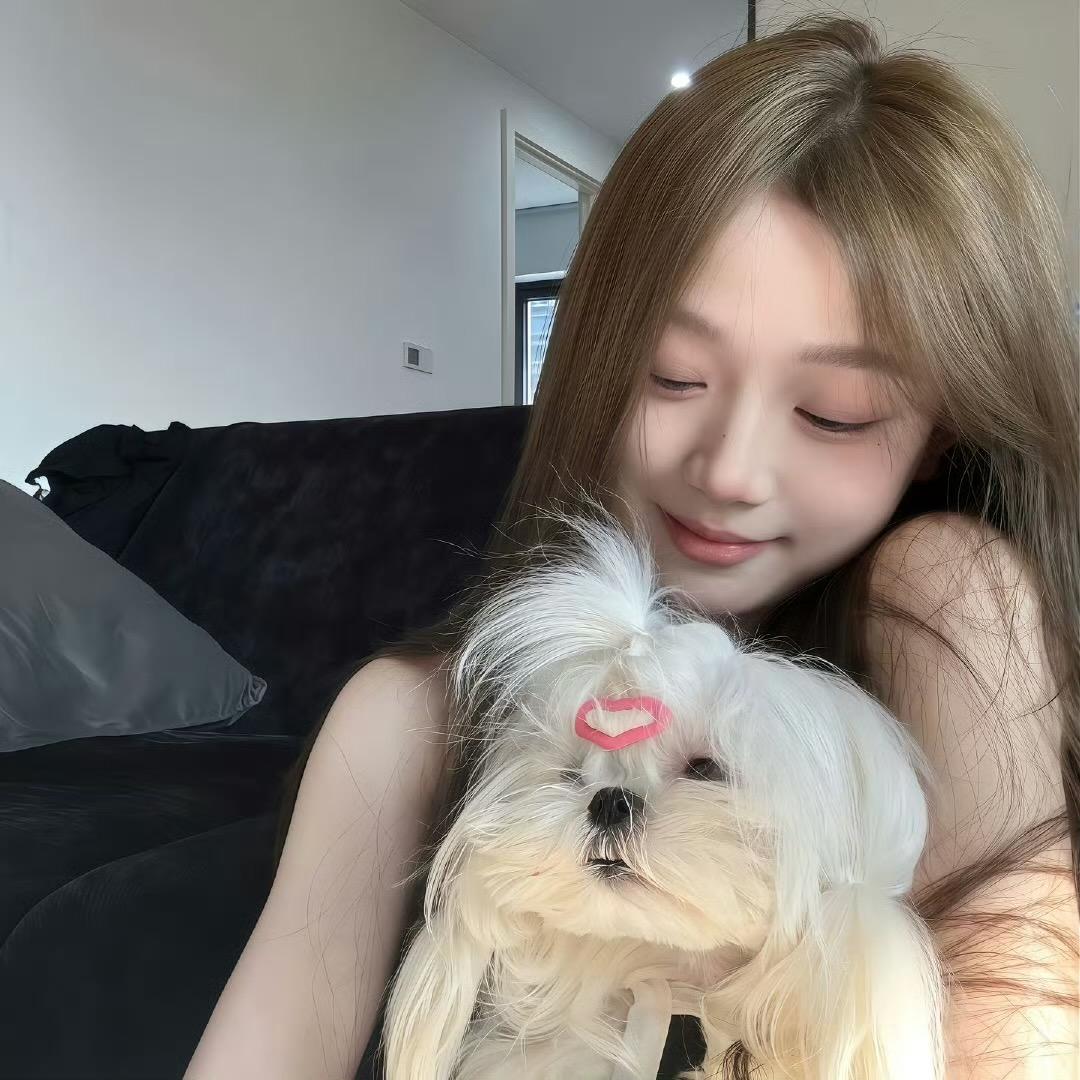 狗狗