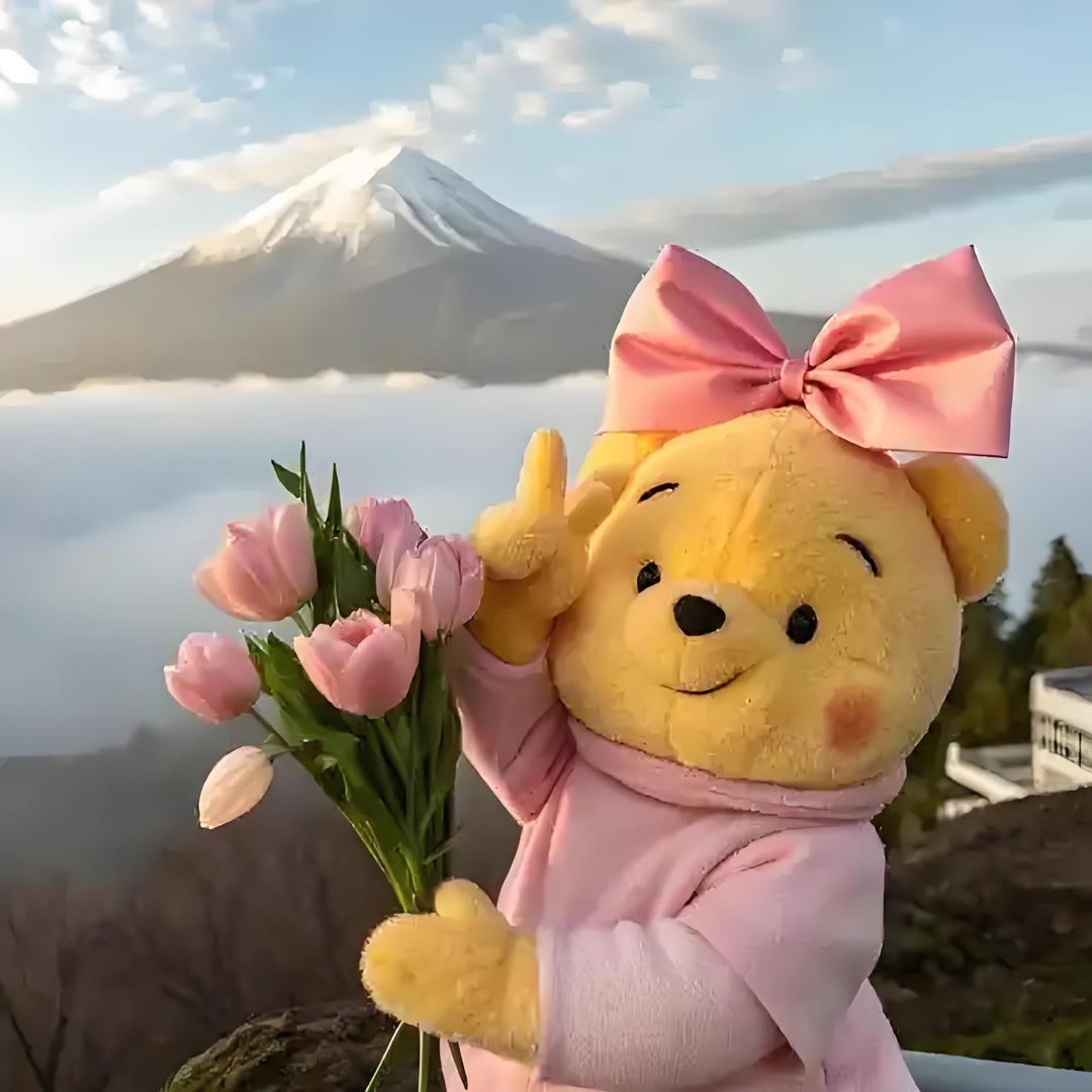 一只小小澄