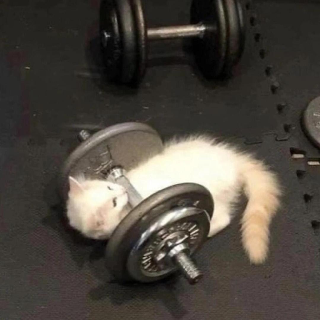 小t