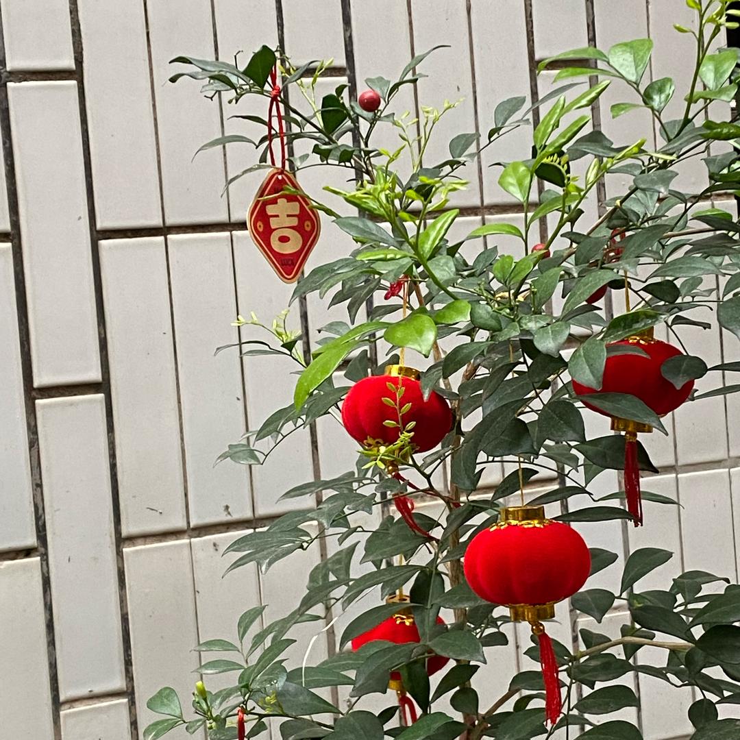 狮象守水