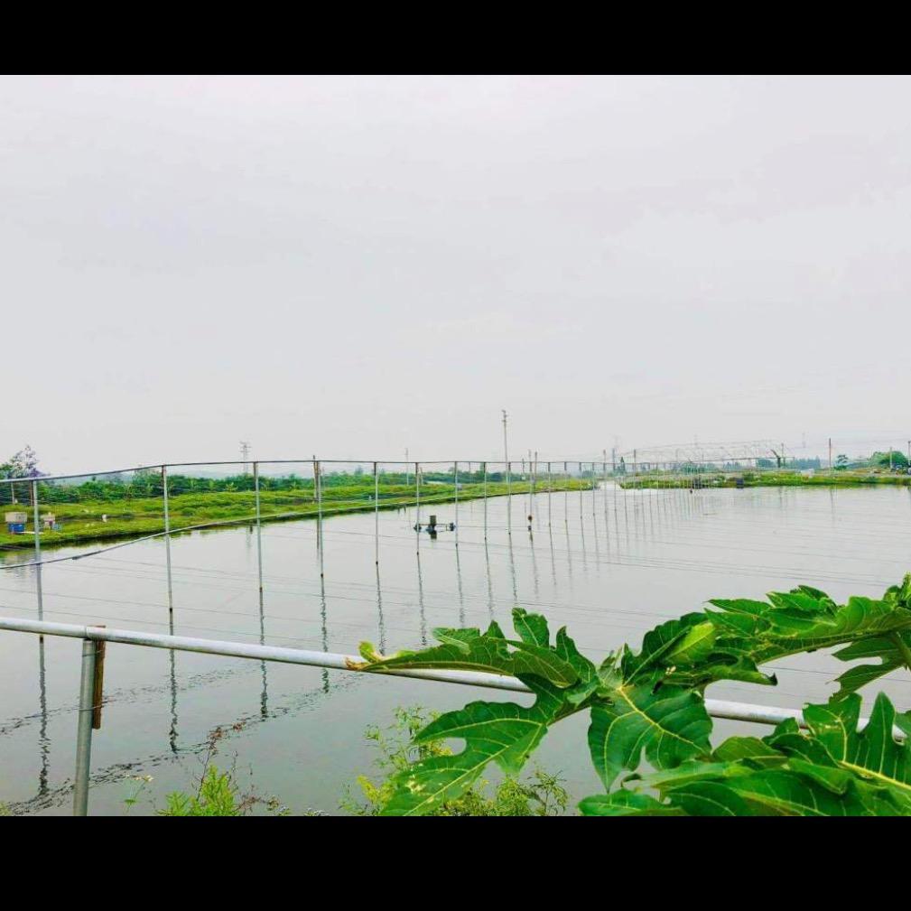 八方来福水产基地