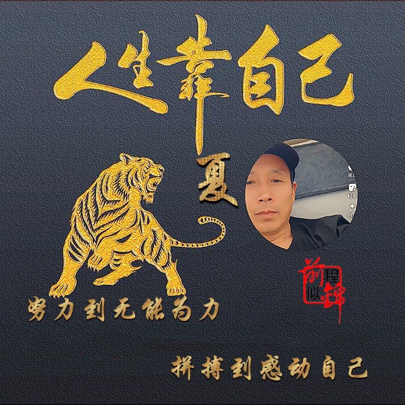 岁 月 无  声
