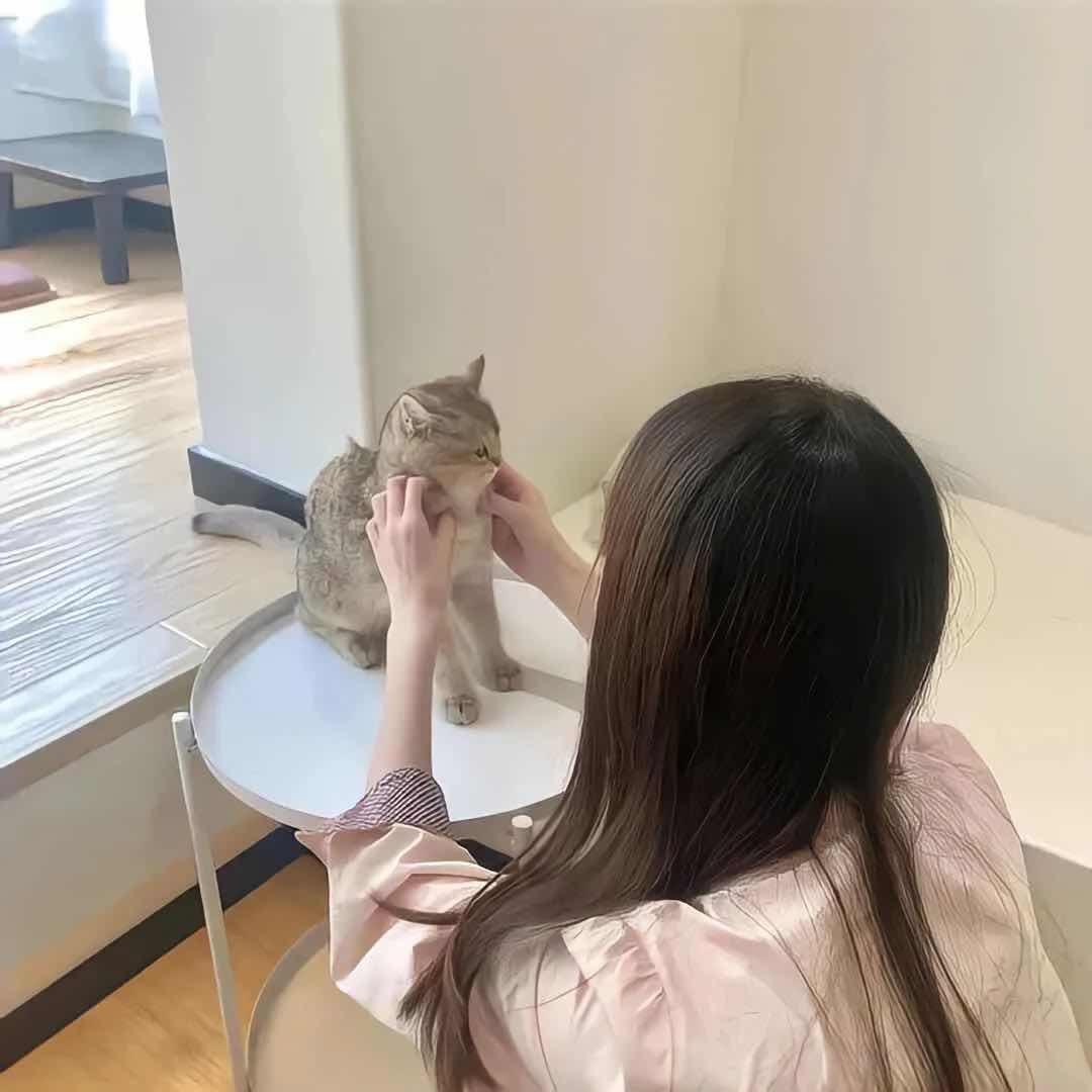 爱吃草莓