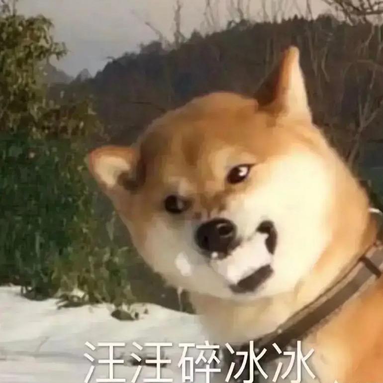 大大爱彩虹