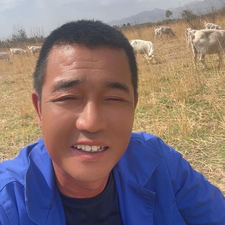 放羊的小钢炮