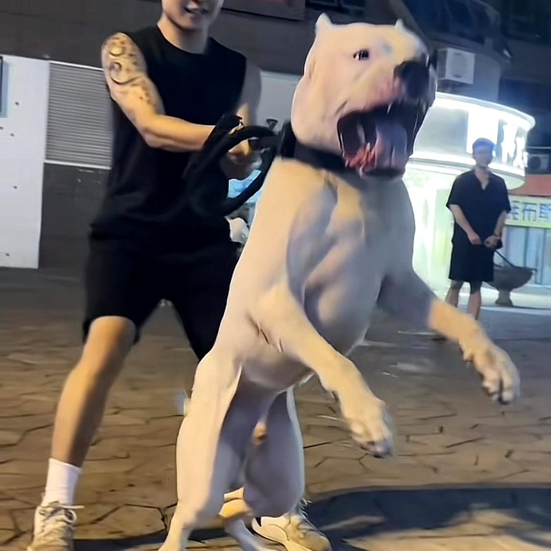 @益心护农狩猎队机油手