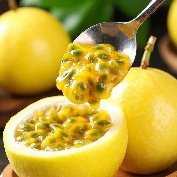 锦鲤
