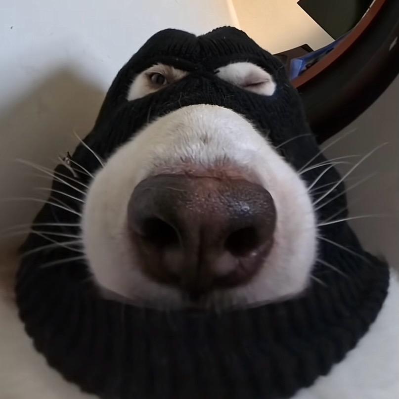 An