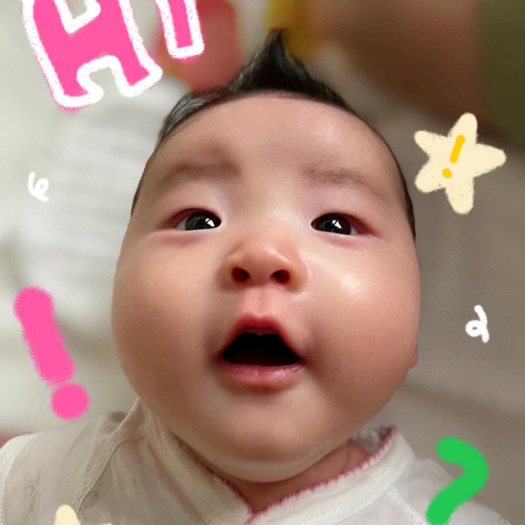 天宝de大冒险