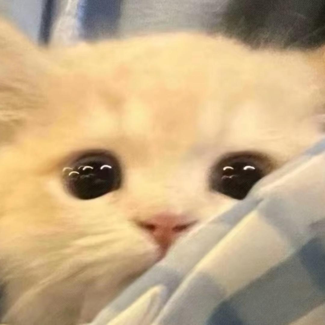 _别老说我笨-
