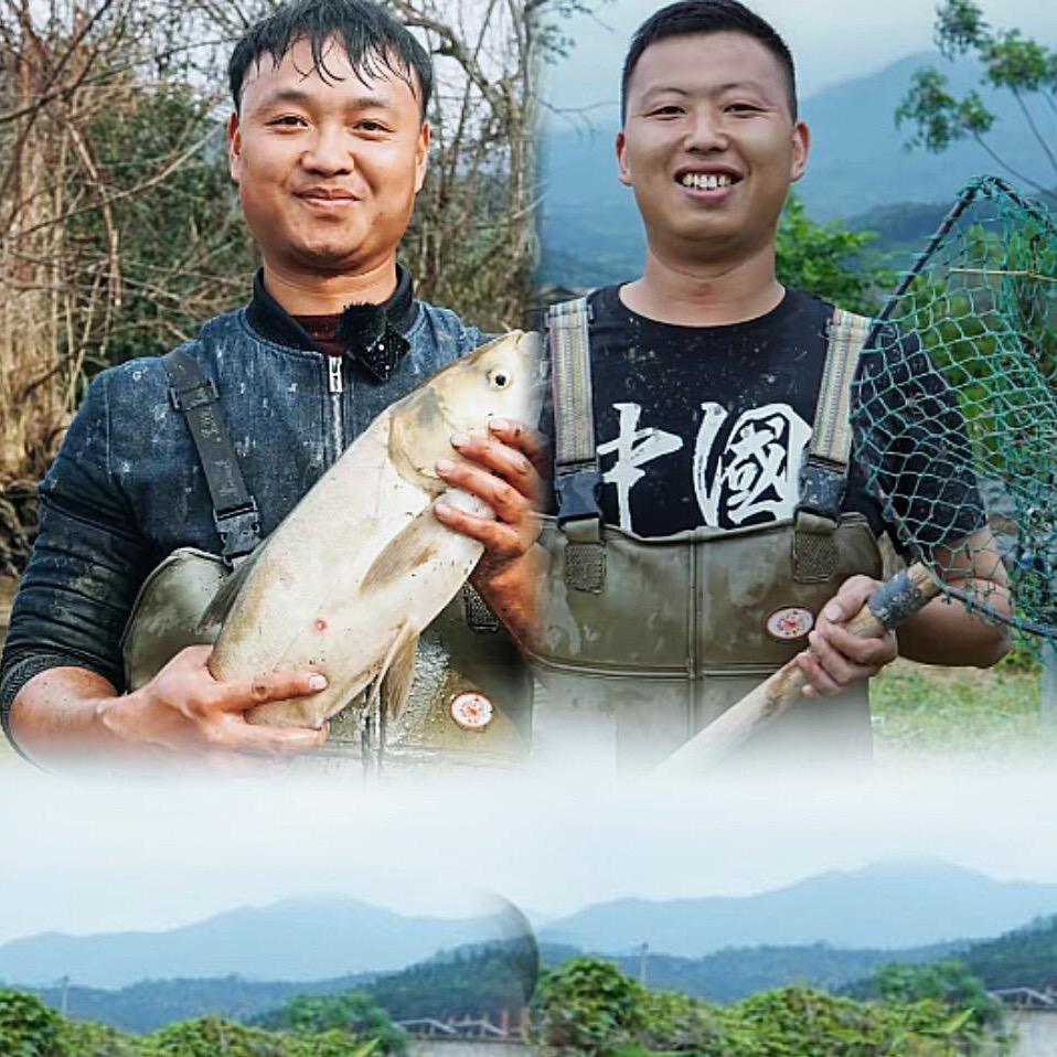 大表哥小飞哥（日常抓鱼）