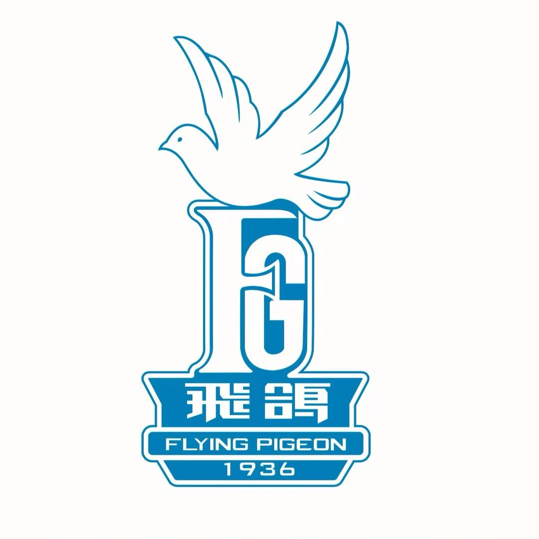 飞鸽自行车旗舰店
