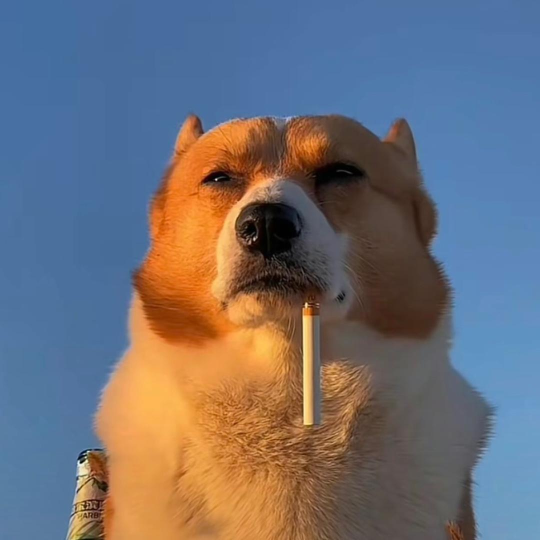 冬系喃倍疯