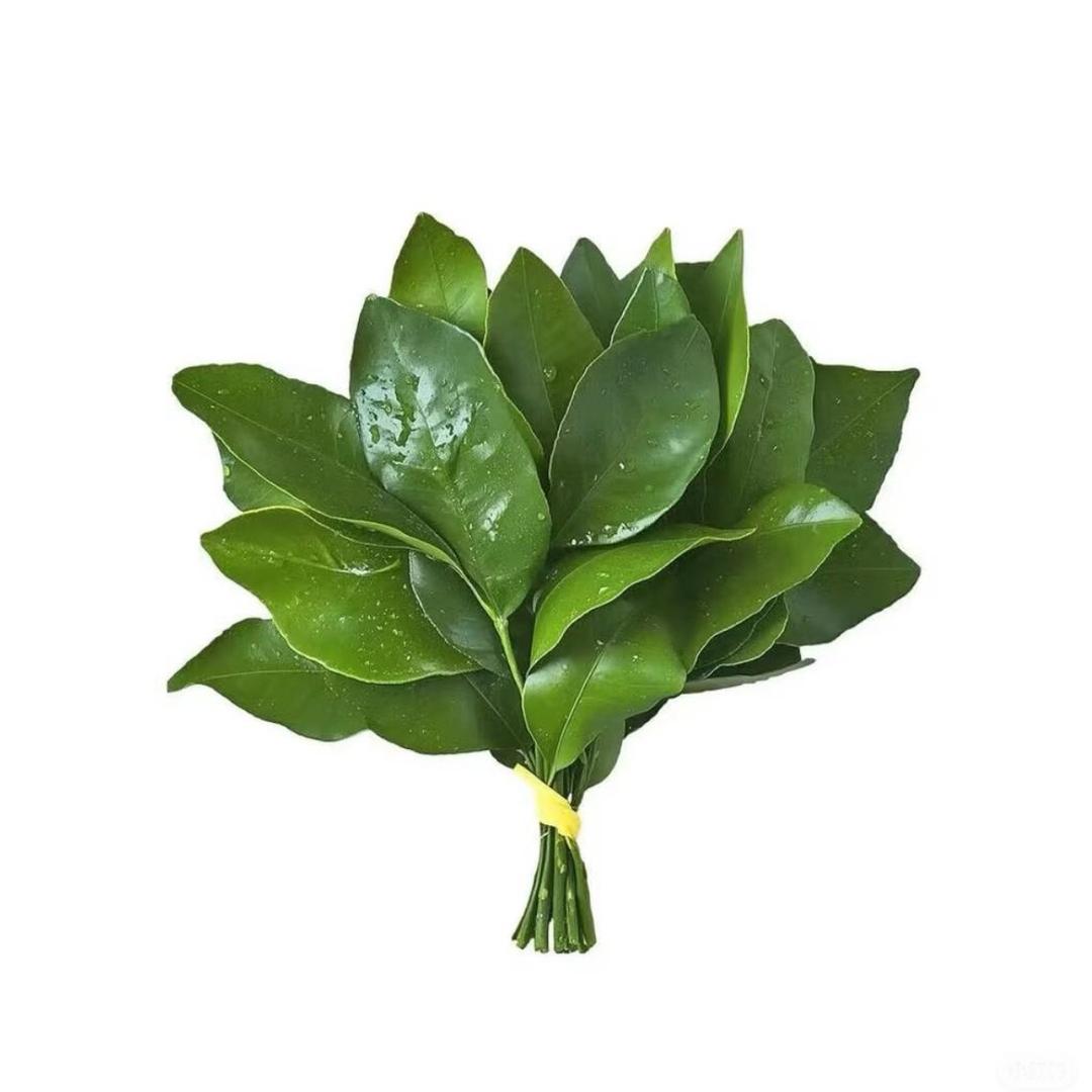 En蒽蒽