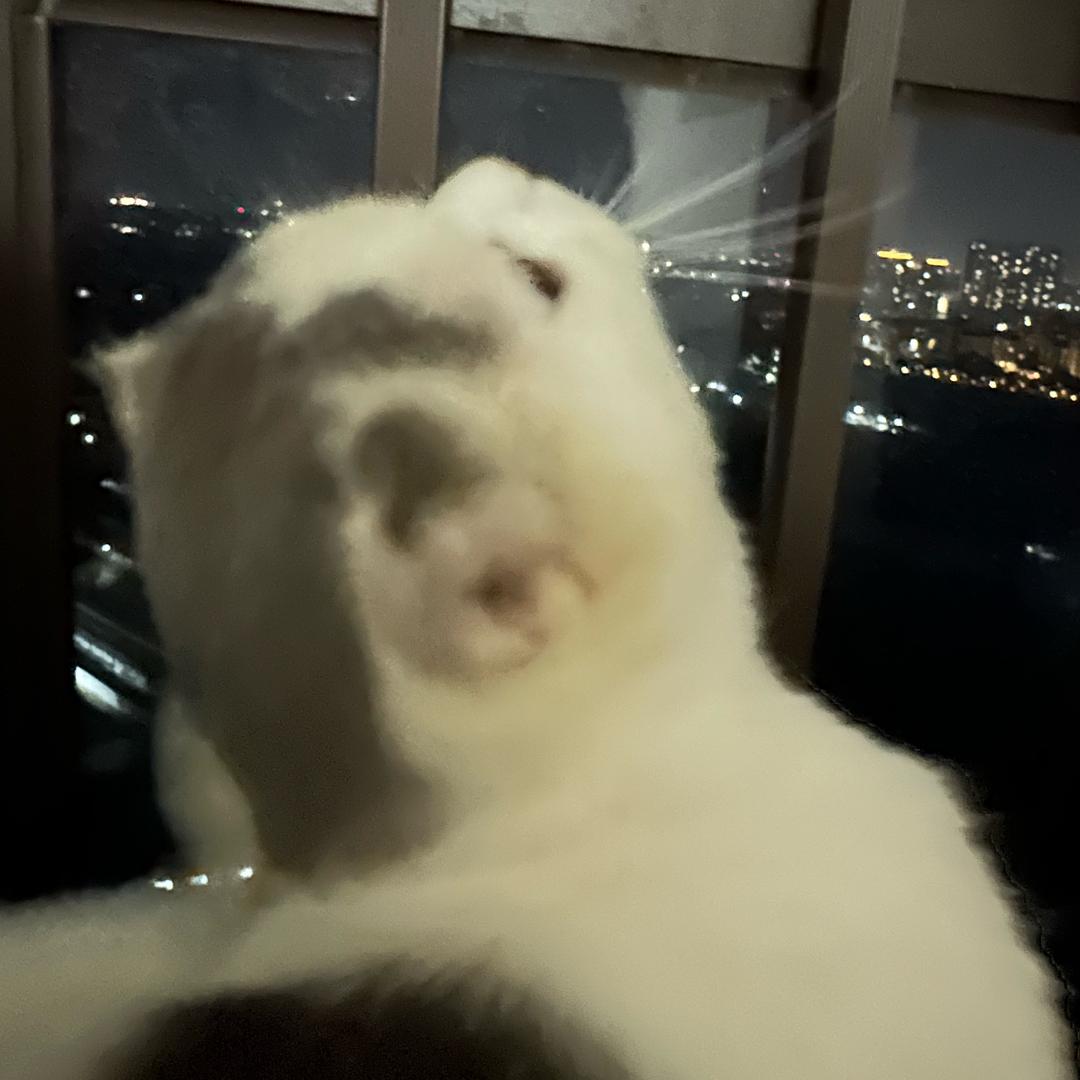 光娱