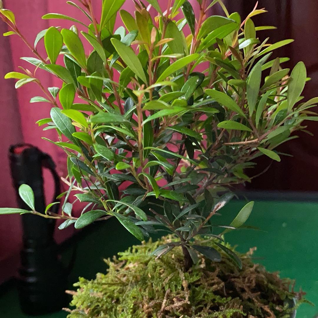 机械加工