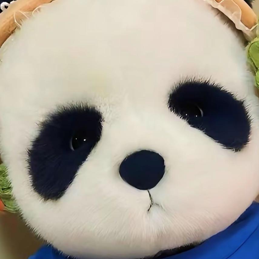 装懂哥玩卡日记